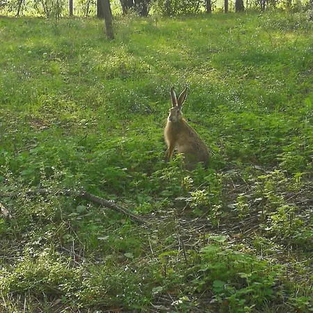 Gospodarstwo agroturystyczne Agriturismo Monteroseo *